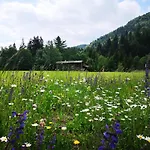 Апартаменты Apartmaji Volf Згорнье-Горье