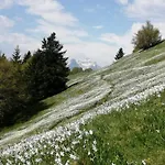 Апартаменты Apartmaji Volf *