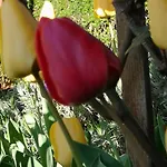 Apartmaji Volf * Згорнье-Горье