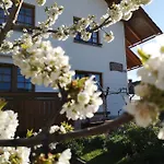 Apartmaji Volf Апартаменты Згорнье-Горье