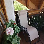 Apartmaji Volf *