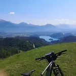 Апартаменты Apartmaji Volf