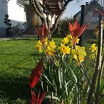 Apartmaji Volf Апартаменты *