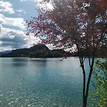 Apartmaji Volf Апартаменты *