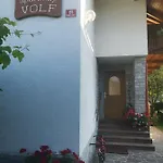 Apartmaji Volf *