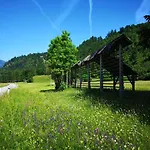 Apartmaji Volf *