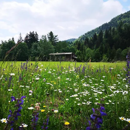 Lägenhet Apartmaji Volf Zgornje Gorje