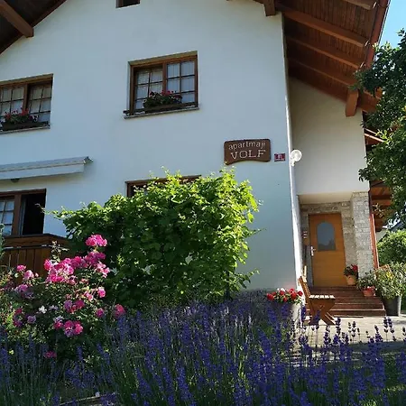 Apartmaji Volf Згорнье-Горье