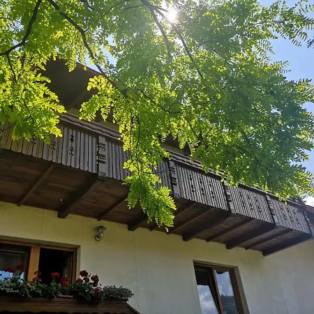 Apartmaji Volf Daire