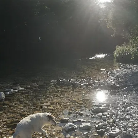 Lägenhet Apartmaji Volf Zgornje Gorje