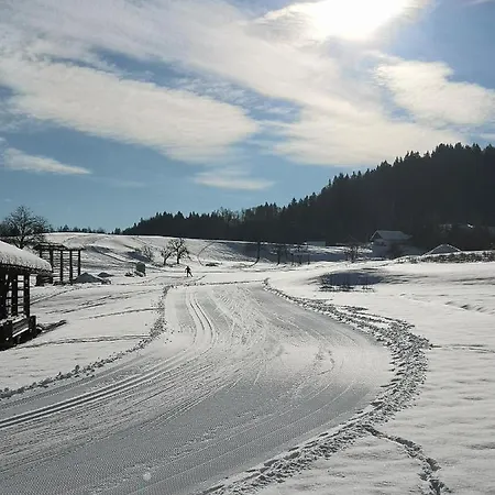 Apartmaji Volf
