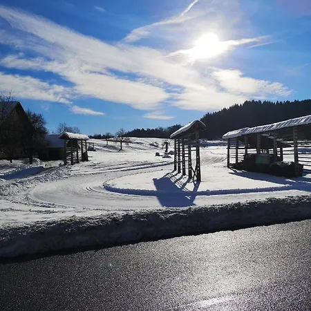 Apartmaji Volf 公寓