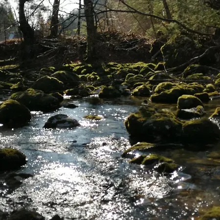 Apartmaji Volf 아파트 *