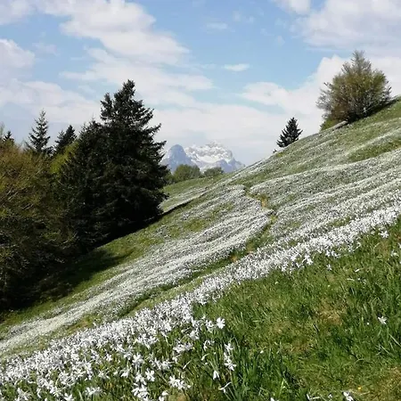 Apartman Apartmaji Volf *