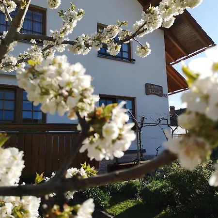 Apartmaji Volf Daire Zgornje Gorje
