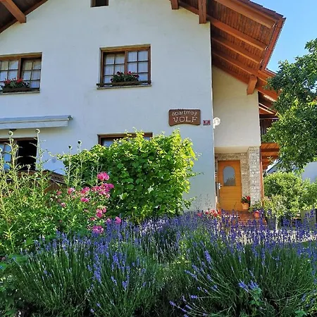 Apartmaji Volf Daire Zgornje Gorje