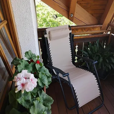 Apartmaji Volf *