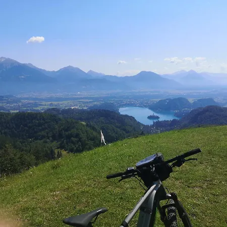 Apartman Apartmaji Volf