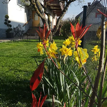 Apartmaji Volf 公寓 *