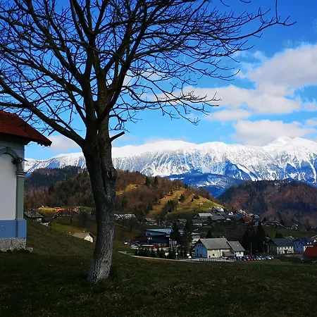 Apartmaji Volf