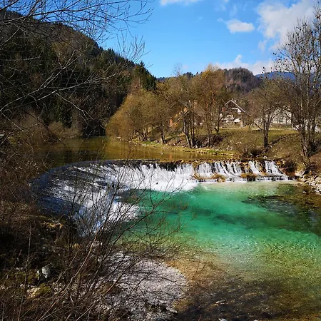 Appartement Apartmaji Volf Zgornje Gorje