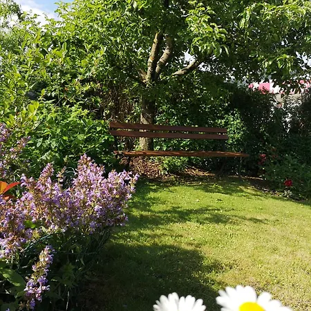 Apartmaji Volf Zgornje Gorje