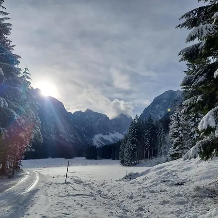 아파트 Apartmaji Volf 지고르니예 고르예