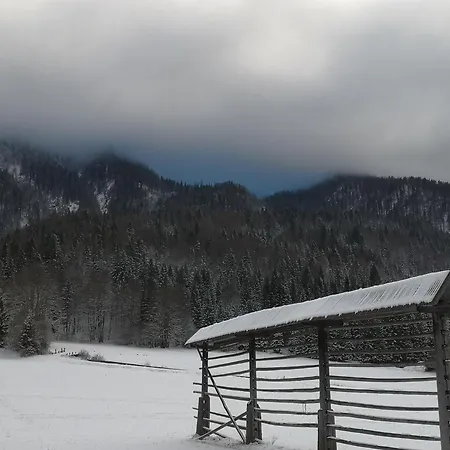 Apartmaji Volf Daire