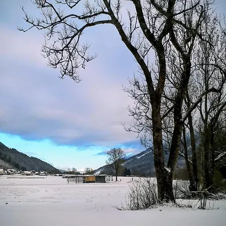 Апартаменты Apartmaji Volf