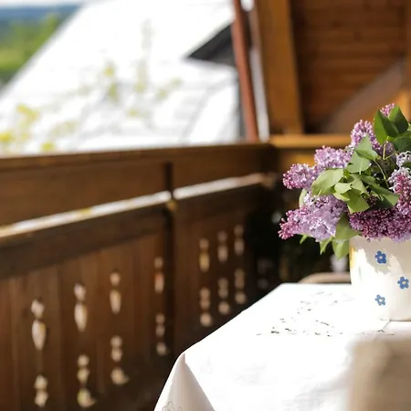 Apartmaji Volf * Zgornje Gorje