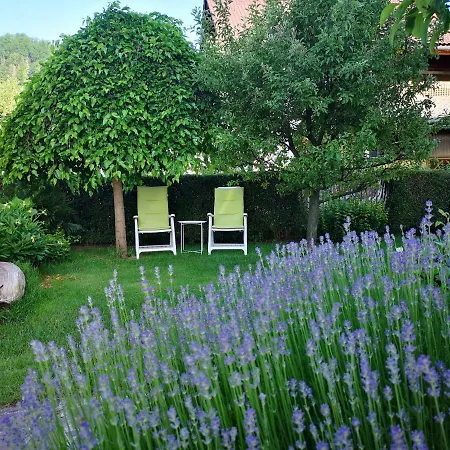 Daire Apartmaji Volf Zgornje Gorje