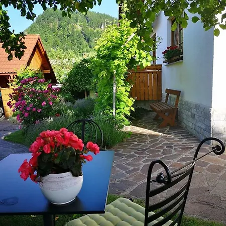 Apartmaji Volf Zgornje Gorje