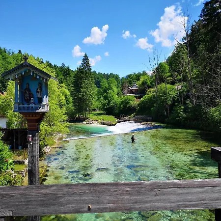 Apartmaji Volf *