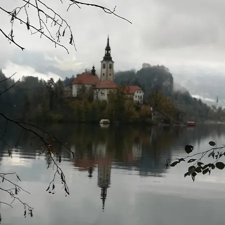 Daire Apartmaji Volf Zgornje Gorje