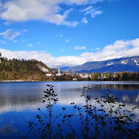 Apartmaji Volf