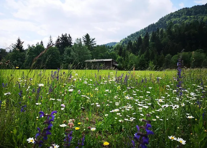 Lejlighed Apartmaji Volf Zgornje Gorje