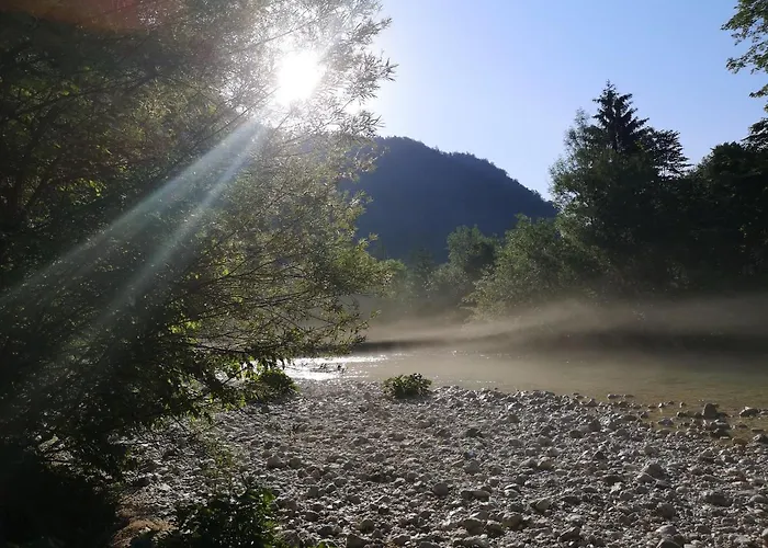 Lejlighed Apartmaji Volf Zgornje Gorje