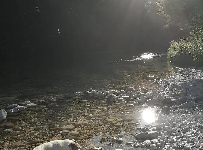Lejlighed Apartmaji Volf Zgornje Gorje