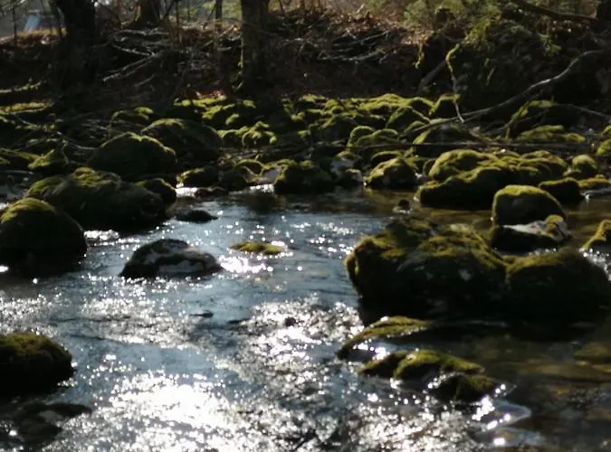 Apartmaji Volf Апартаменты *