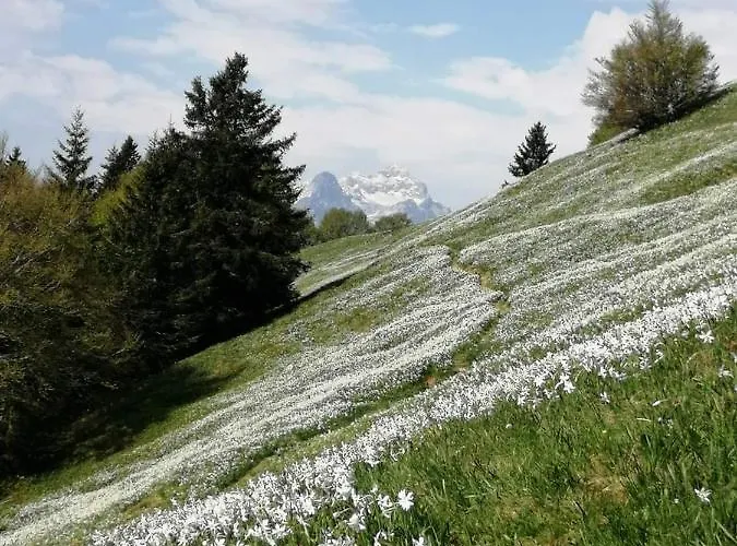 아파트 Apartmaji Volf *