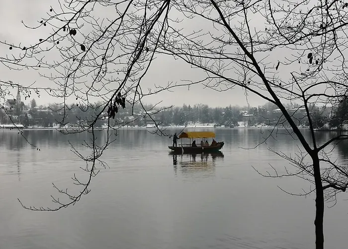 Apartmaji Volf Lejlighed