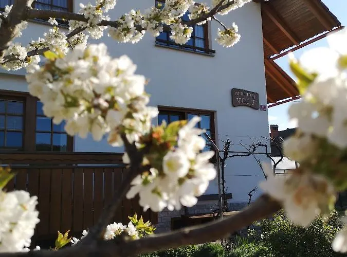 Apartmaji Volf Апартаменты Згорнье-Горье