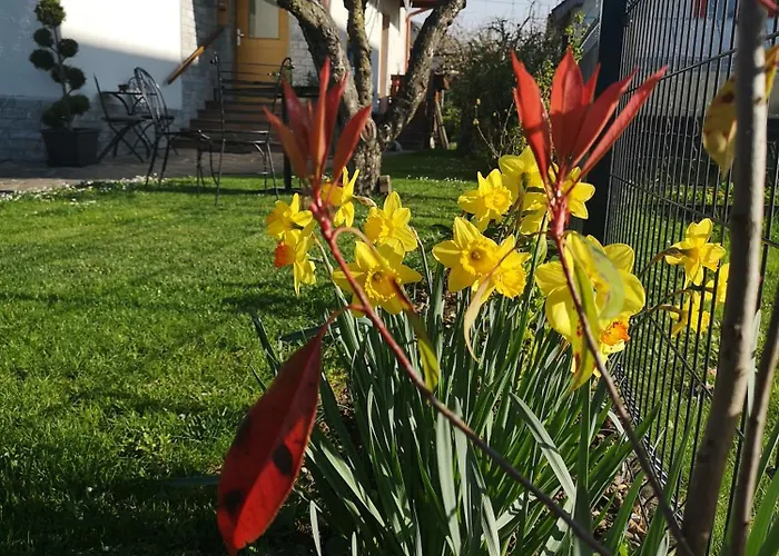 Apartmaji Volf Апартаменты *