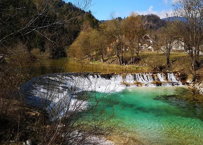 Lejlighed Apartmaji Volf Zgornje Gorje