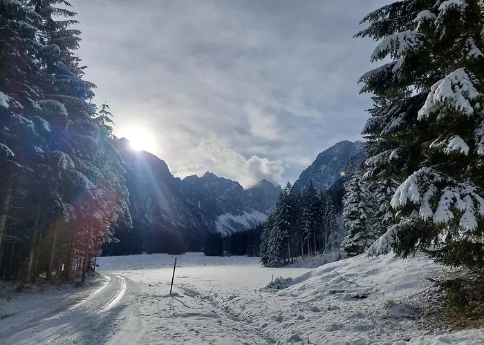 Lejlighed Apartmaji Volf Zgornje Gorje
