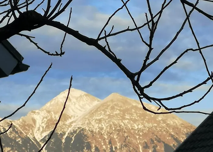 Apartmaji Volf Zgornje Gorje