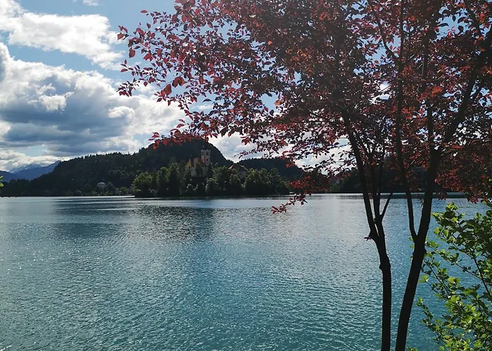 Apartmaji Volf Lejlighed *