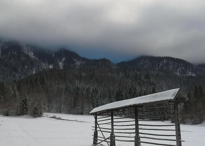 Apartmaji Volf Апартаменты