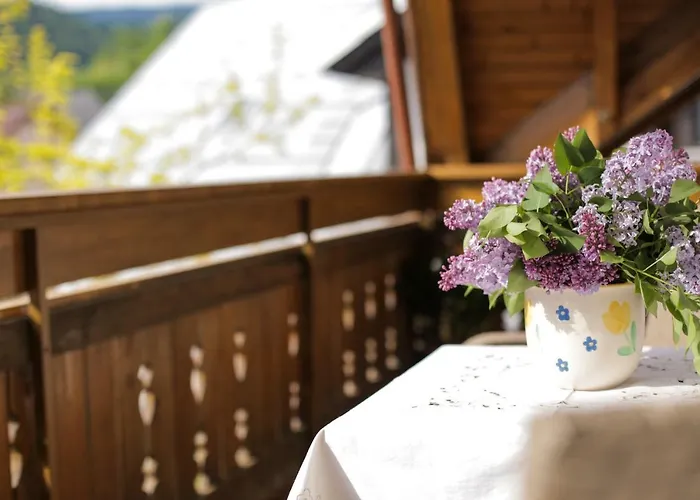 Apartmaji Volf * Zgornje Gorje