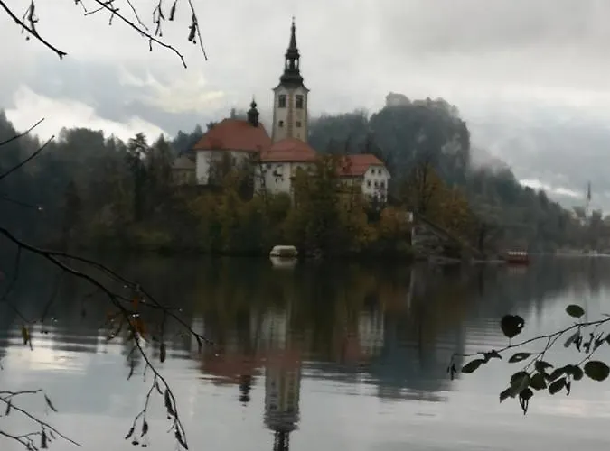 Lejlighed Apartmaji Volf Zgornje Gorje